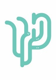 לקוח 13